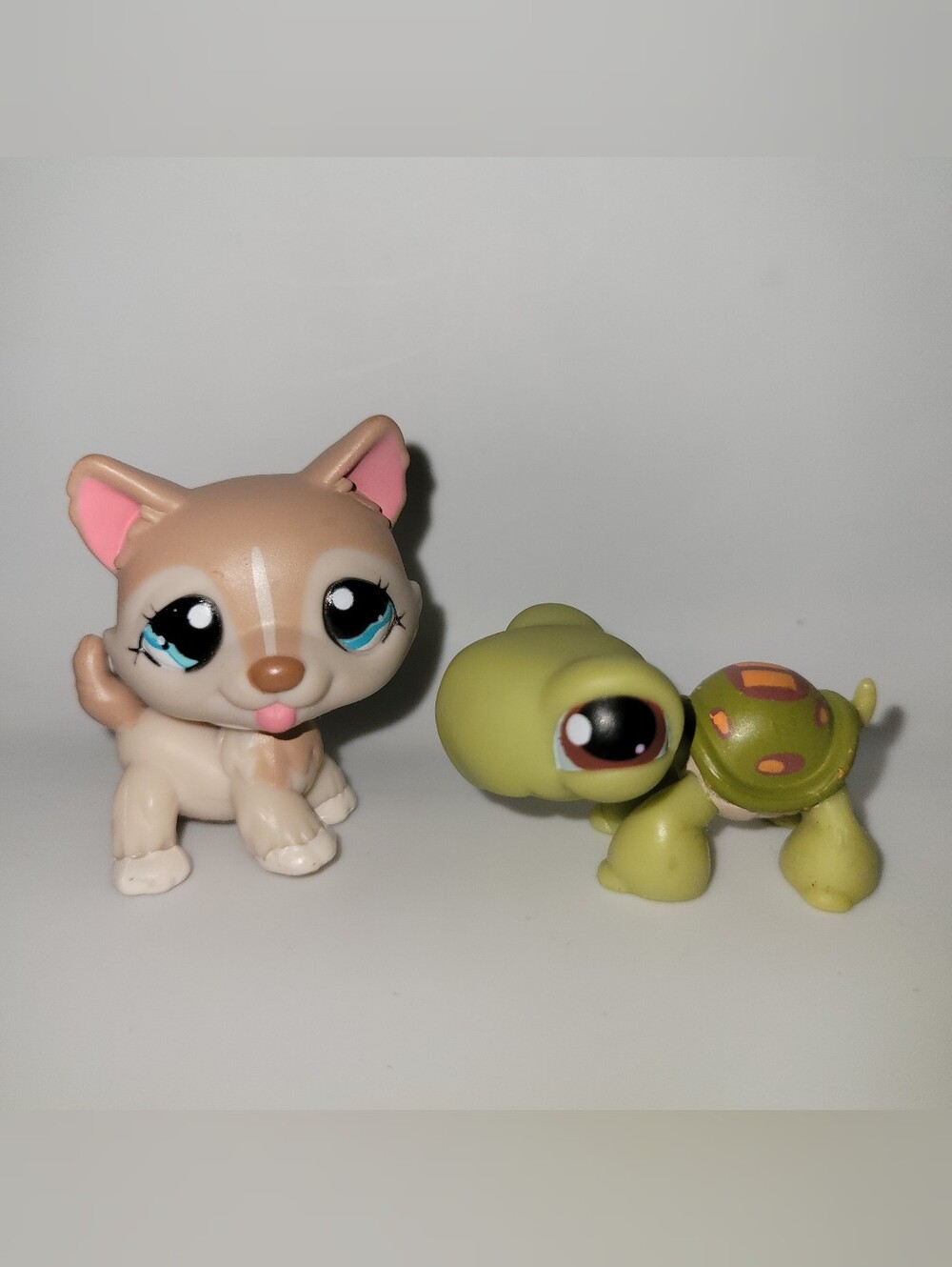 Littlest Pet Shop G2 Lot - Husky Dog #1012 & Green Turtle #8 Duo